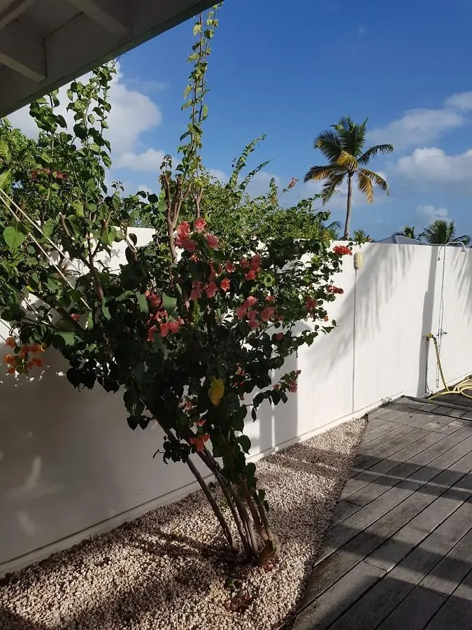 Villa White House, Orient Bay Sxm Avec Piscine Privee